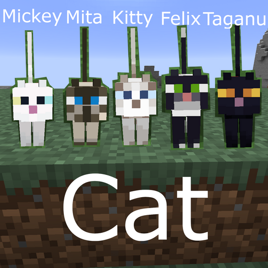 Cat (A Minecraft Song)