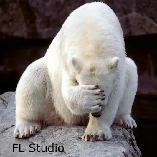 Embarrassed (FL Studio)